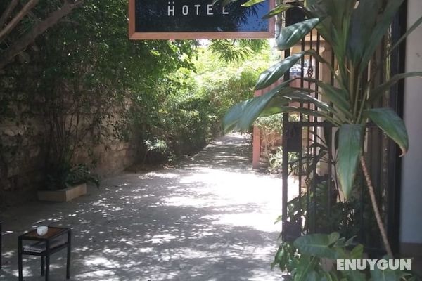 Cingaki Hotel Öne Çıkan Resim