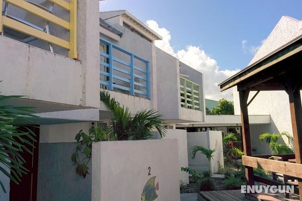 Coco Plum Resort Bahamas Genel