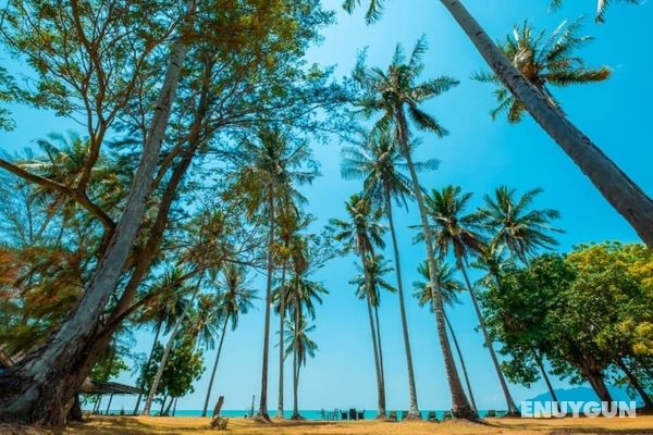 Coconut Beach Villa Langkawi Öne Çıkan Resim