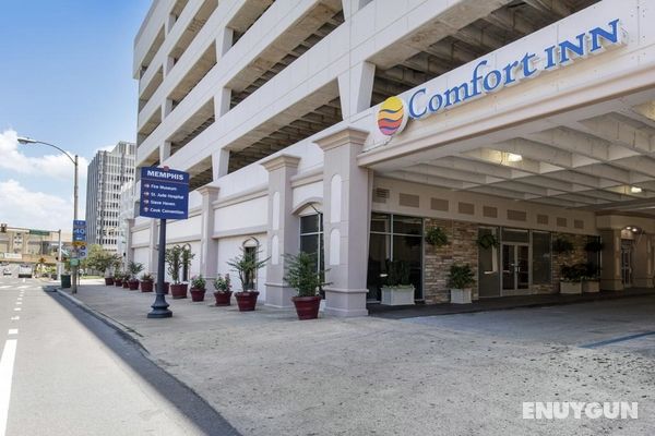 Comfort Inn Downtown - Memphis Genel