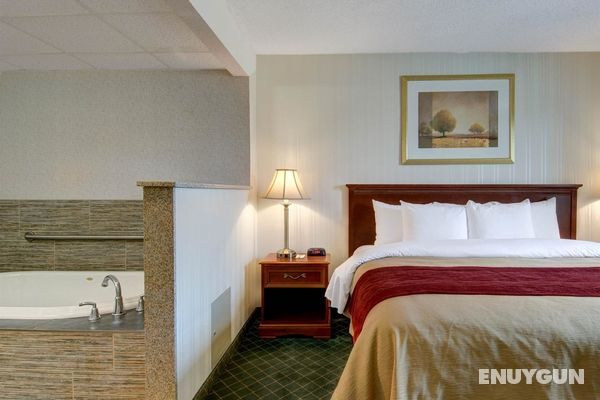 Comfort Inn Foxboro - Mansfield Genel