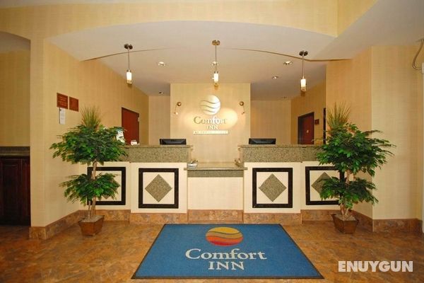 Comfort Inn Layton Genel