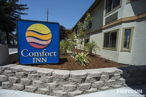 Comfort Inn Santa Cruz Genel