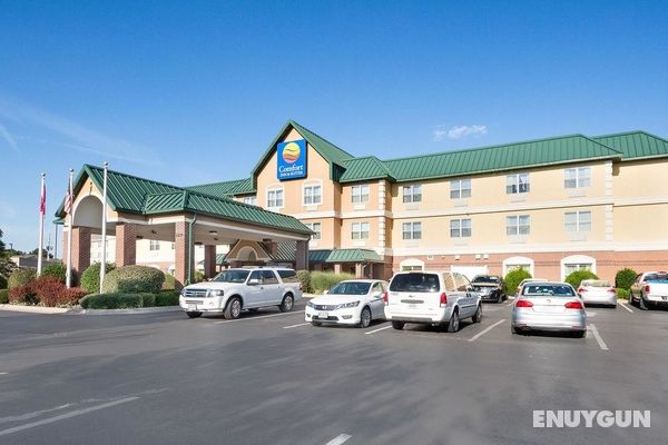 Comfort Inn & Suites Bentonville Genel