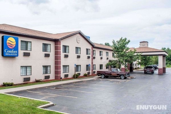 Comfort Inn & Suites Buffalo Genel