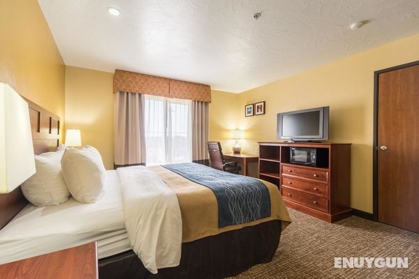 Comfort Inn & Suites Cedar City Genel
