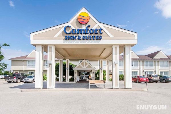 Comfort Inn & Suites Collingwood Genel