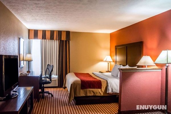 Comfort Inn & Suites Eastgate Genel