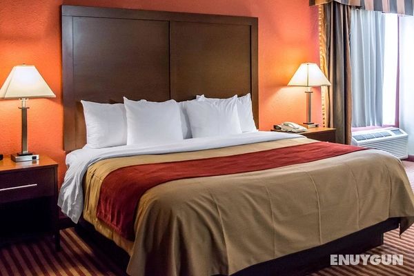Comfort Inn & Suites Eastgate Genel