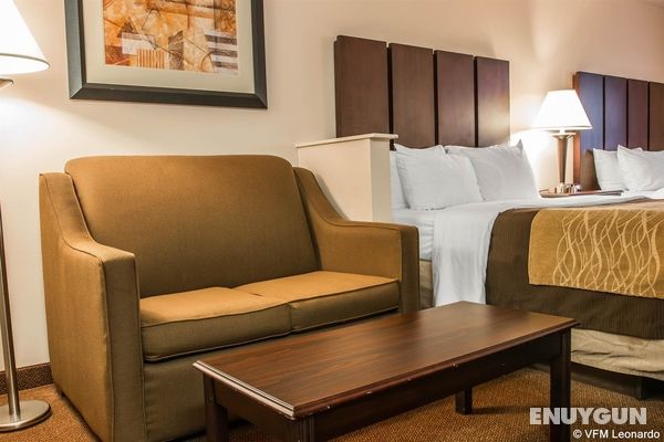 Comfort Inn & Suites Fenton Genel