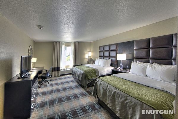 Comfort Inn & Suites Fort Worth West Genel