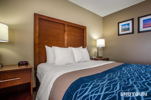 Comfort Inn & Suites Jackson - West Bend Genel