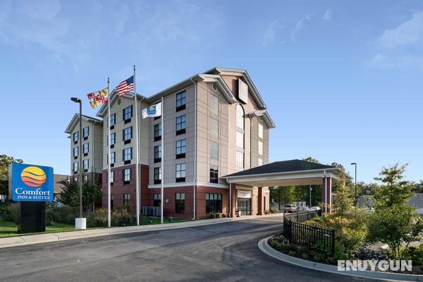 Comfort Inn & Suites Lexington Park Genel