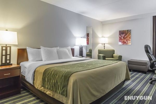 Comfort Inn & Suites Moose Jaw Genel