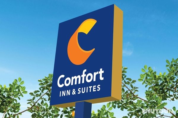 Comfort Inn & Suites Munising-Lakefront Öne Çıkan Resim