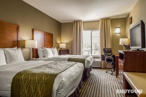 Comfort Inn & Suites Sacramento Genel