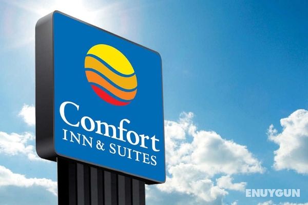 Comfort Inn & Suites SW Houston Sugarland Genel