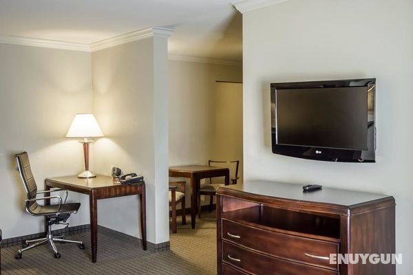 Comfort Suites Cincinnati North Genel