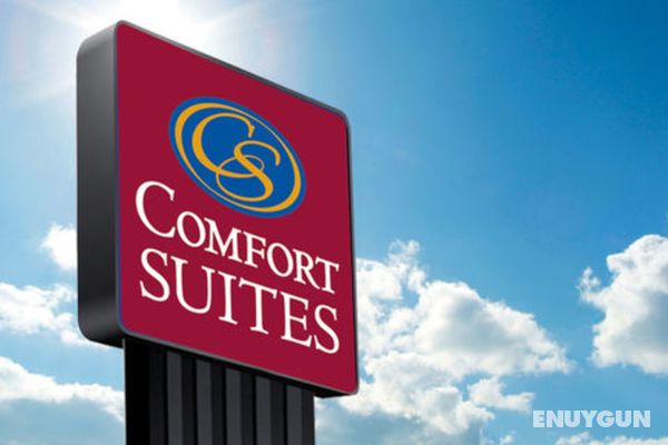 Comfort Suites Columbia Genel