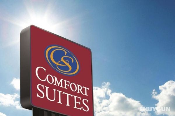Comfort Suites Denver International Airport Genel