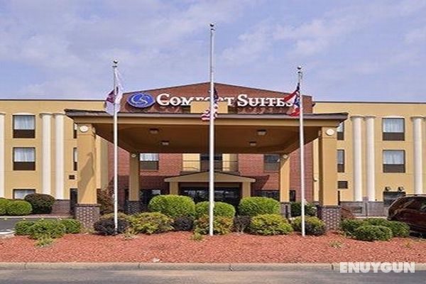 Comfort Suites East Columbus Area Genel