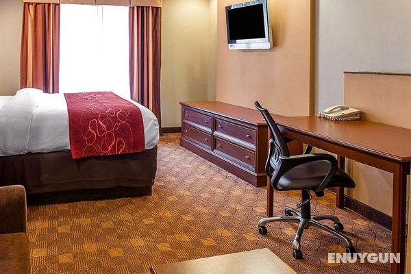 Comfort Suites Pittsburgh Genel