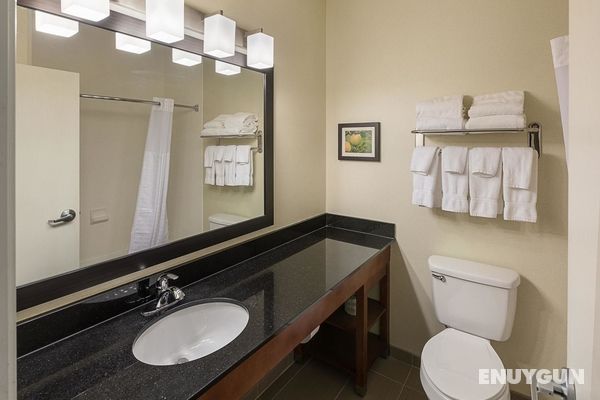 Comfort Suites Saginaw Genel