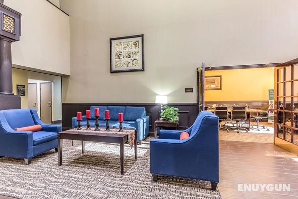 Comfort Suites The Colony - Plano West Genel