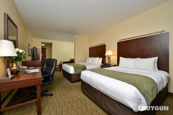 Comfort Suites Turlock Genel