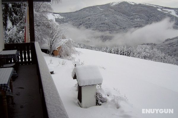 Comfortable Holiday Home Near Ski Area in Arriach Öne Çıkan Resim
