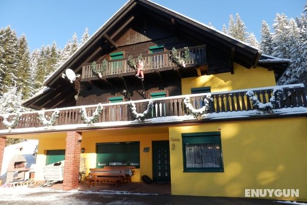 Comfortable Mansion in Wolfsberg Near Ski Area Öne Çıkan Resim