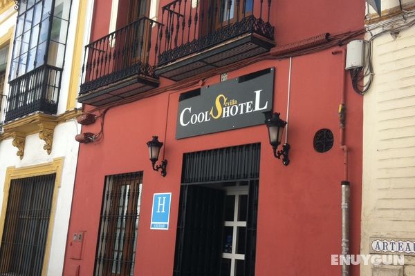 Cool Sevilla Hotel Genel