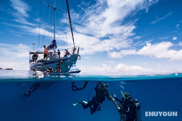Coral Sea Dreaming Dive and Sail Genel