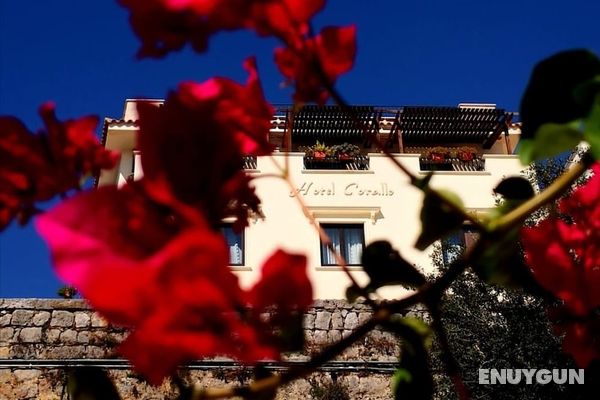 Hotel Corallo Öne Çıkan Resim