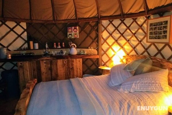 Cosy and Inviting Waterside Luxury Yurt Öne Çıkan Resim