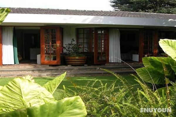 Cosy Den B&B Luxury Guest House Style Öne Çıkan Resim