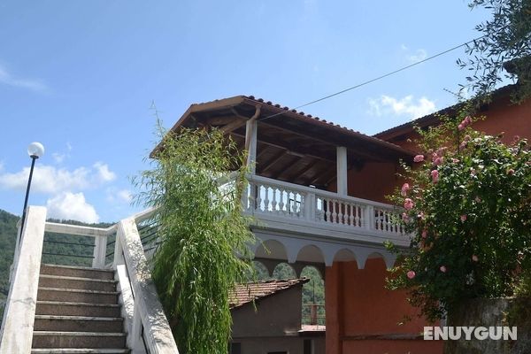 Cosy Holiday Home in Testico With Terrace and Barbecue Öne Çıkan Resim