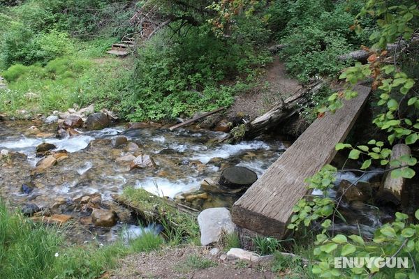 Cottage on the Stream Genel