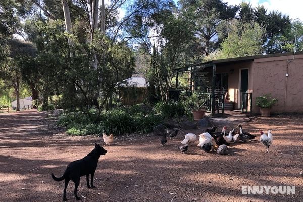 Country Cottages of Bridgetown Öne Çıkan Resim