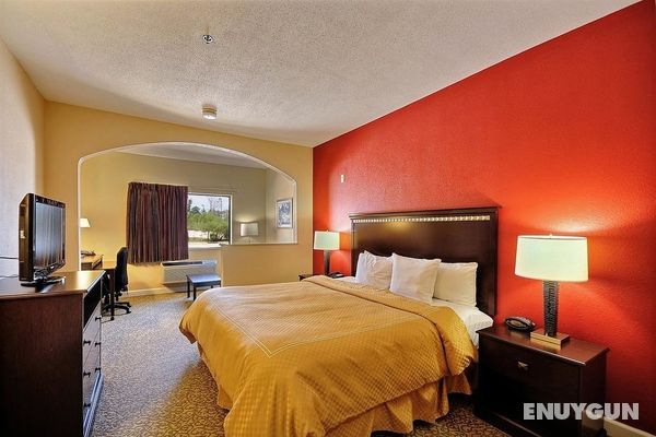 Country Inn & Suites by Radisson, The Woodlands Genel