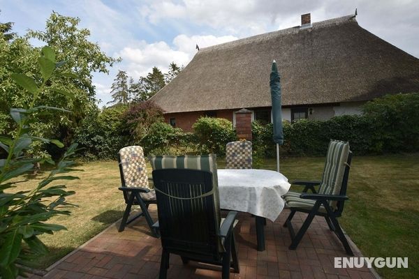 Cozy Apartment in Alt Bukow Germany With Garden Öne Çıkan Resim