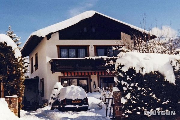 Cozy Apartment in Fulpmes near Ski Area Öne Çıkan Resim