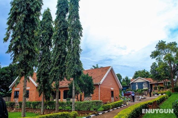 Cycad Entebbe Guest House Öne Çıkan Resim