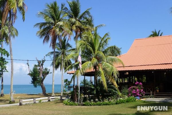 D' Coconut Pulau Besar Resort Öne Çıkan Resim