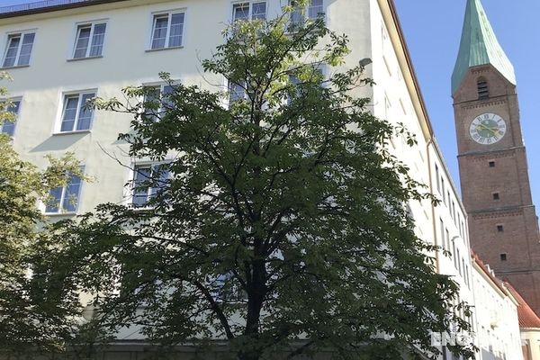 Hotel Der Tannenbaum Öne Çıkan Resim