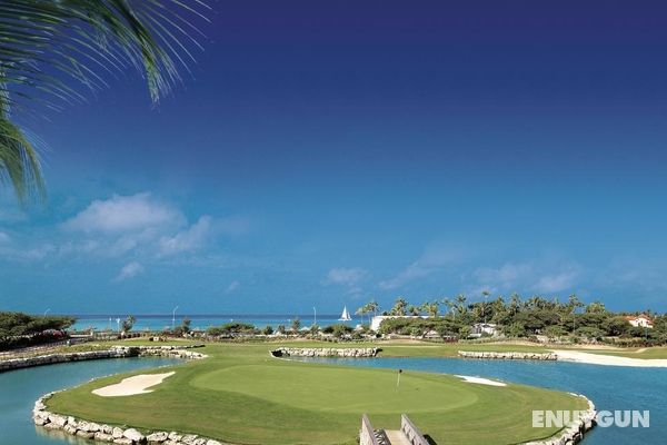Divi Village Golf & Beach Resort Genel