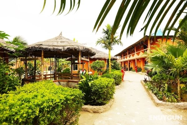 Divine Eco Resort Öne Çıkan Resim