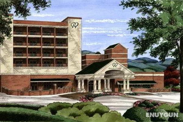 Doubletree Hotel Biltmore/Asheville  Genel