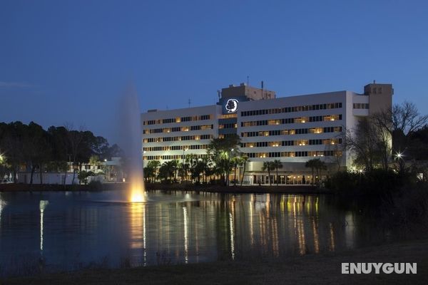 DoubleTree by Hilton Jacksonville Airport Genel