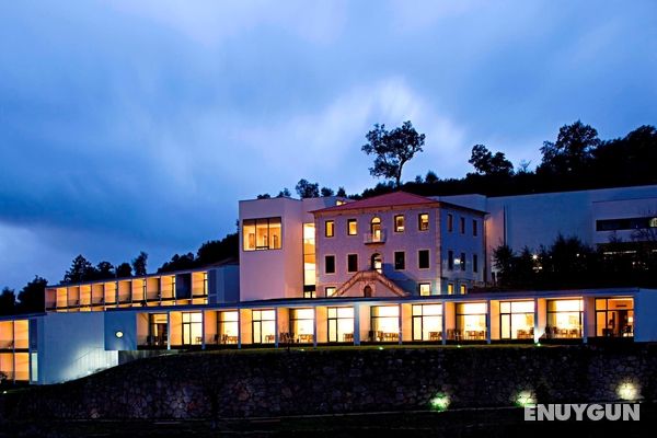 Douro Palace Hotel Resort SPA Genel